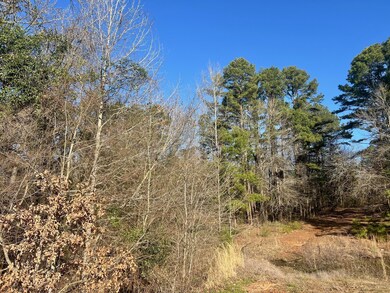 View of nature