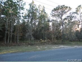 unlisted-address, Citrus Hills, FL 34442 - photo 2