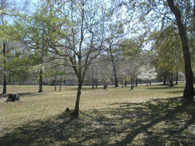 42 Strattonwood Place, Crawfordville, FL 32327 - photo 2