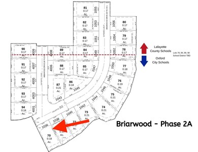 1036 Briarwood Dr, Oxford, MS 38655 - photo 4