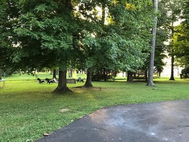 Side Yard 