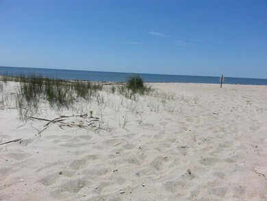 Miles of Sandy Beaches Close By