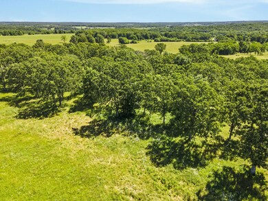 5-web-or-mls-DJI_0545