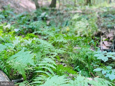 914 Plains Rd, Paw Paw, WV 25434 - photo 5