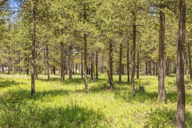 17113 Covina Rd, Bend, OR 97707 - photo 3