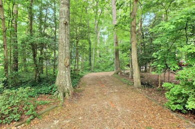 Wonderful winding woodsy driveway from cul-de-sac
