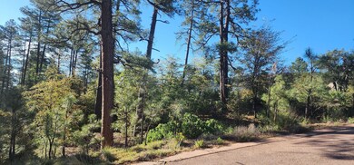 0 E Phoenix St, Payson, AZ 85541 - photo 5