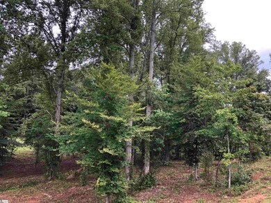 0 Tall Poplar Trail unit 1453651, Greenville, SC 29617 - photo 6