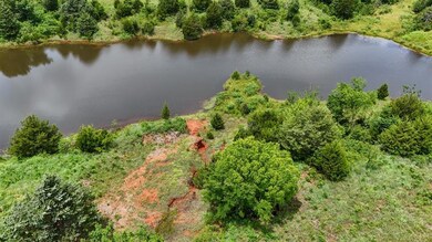Bird's eye view of a nearby body of water and a heavily wooded area