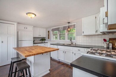 230 S Hudson St, Lowell, MI 49331 - photo 7