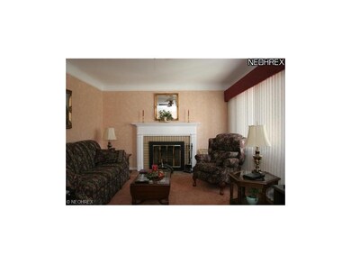 Fireplace in living room.