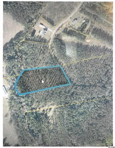TBD 3.7 Acre Wilderness Ln, Loris, SC 29569 - photo 6