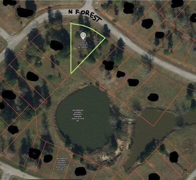 141 N Forest Dr, Huntsville, TX 77340 - photo 5