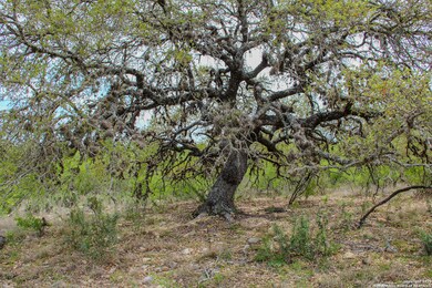 TBD Cr 341, Hondo, TX 78861 - photo 5