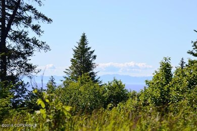 DSC_0016