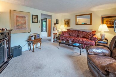 55 Brookside Dr unit 31, Hendersonville, NC 28792 - photo 3