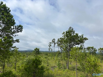 Tract 2 Tom Cat Rd, Gadsden, AL 35903 - photo 3