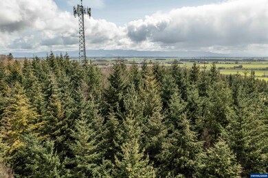 92884 Applegate Trail, Junction City, OR 97448 - photo 7