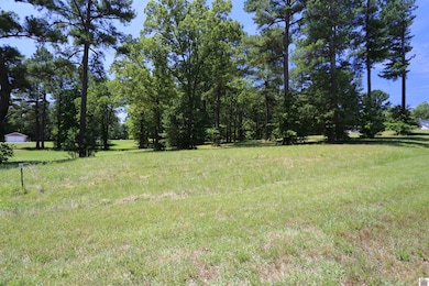 Lot #24 Pine View Dr, Benton, KY 42025 - photo 2