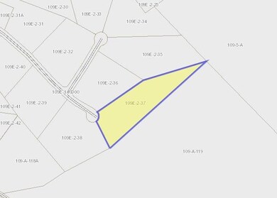 County parcel map of lot #37