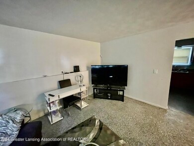 5310 Balzer St, Lansing, MI 48911 - photo 6