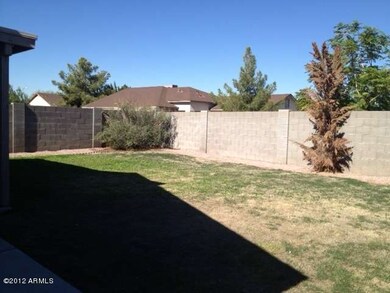 back yard