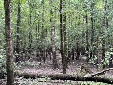 0 Parish Road 660 Lot unit WP001, Winnfield, LA 71483 - photo 6