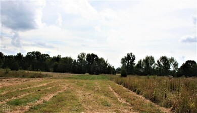 14 + - Acres Cr 766, Jonesboro, AR 72405 - photo 3