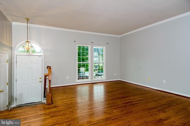 20376 Briarcliff Terrace, Sterling, VA 20165 - photo 3
