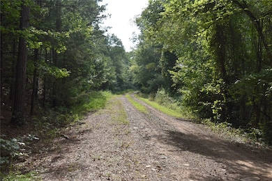 0 Mandy Ln, Casa, AR 72025 - photo 6