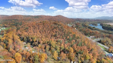 00 State 150 Route, Avis, PA 17721 - photo 4