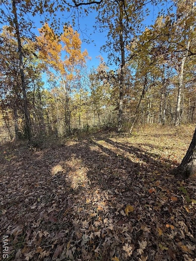 unlisted-address, de Soto, MO 63020 - photo 7