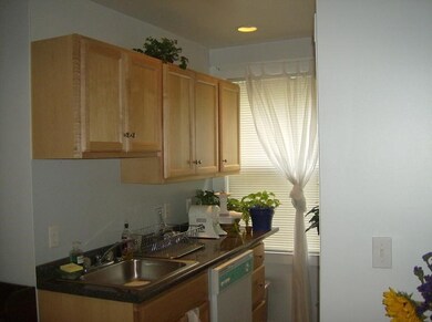 56 Prentiss St unit 1, Watertown, MA 02472 - photo 7