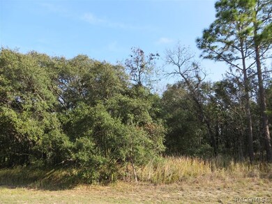 Wooded Lot