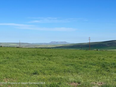 IMG_5439