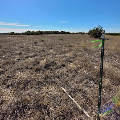 000 Private Road 16024 unit 111, Jonesboro, TX 76538 - photo 3