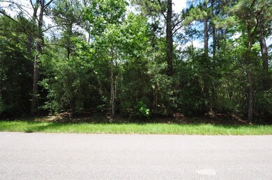 10106 Seneca Trail, Magnolia, TX 77354 - photo 5