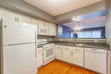 1756 Nature Ct unit 57B175, Schaumburg, IL 60193 - photo 4