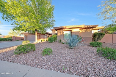 Front Yard in the Evening Sun