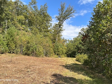0 13 44 Ac Chestnut Ridge Rd, Allardt, TN 38504 - photo 3
