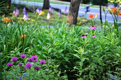 720 Salisbury Rd, Hendersonville, NC 28792 - photo 7