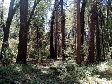 0 Just Rd unit 225114099, Iowa Hill, CA 95713 - photo 3