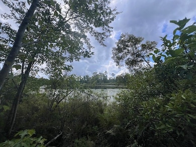 8075 Pinetree Dr, Donalsonville, GA 39845 - photo 4