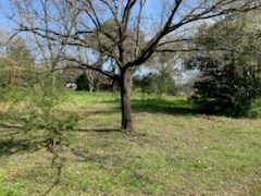 39 Farm Ave, Pavo, GA 31778 - photo 4