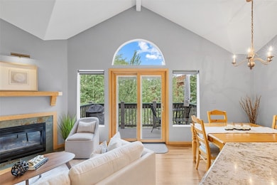 803 Lakepoint Ct unit B, Breckenridge, CO 80424 - photo 6