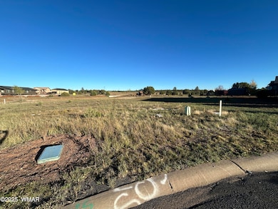 1041 S Lorenzo Sitgreaves Dr, Show Low, AZ 85901 - photo 3