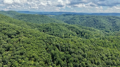 DJI_20250727150855_0006_D