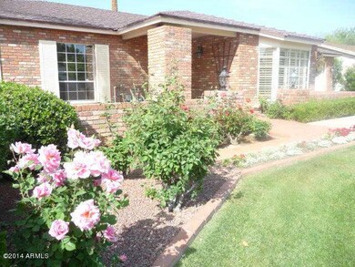 Lovely roses in front of home and patio