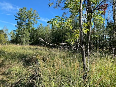 3 acres 7th St, Weyerhaeuser, WI 54895 - photo 5