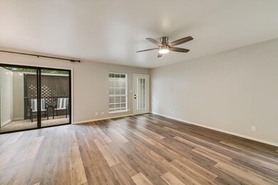 6718 Silvermine Dr unit 903, Austin, TX 78736 - photo 7